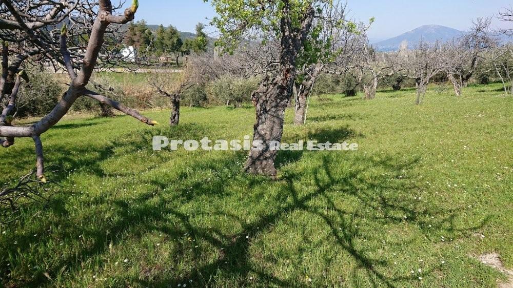 Οικόπεδο 505 τ.μ. προς πώληση, Ταξιάρχης Ωρεών