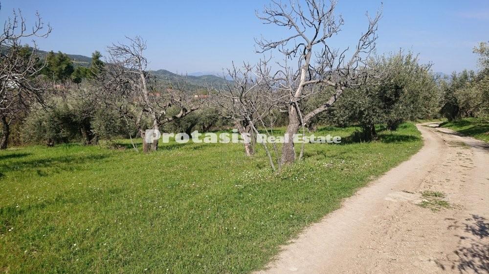 Οικόπεδο 505 τ.μ. προς πώληση, Ταξιάρχης Ωρεών