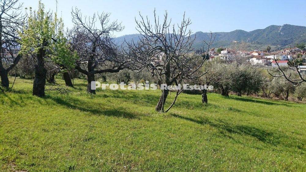 Οικόπεδο 505 τ.μ. προς πώληση, Ταξιάρχης Ωρεών
