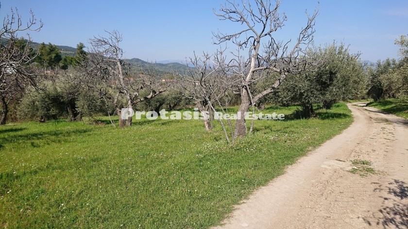 Οικόπεδο 1.500τ.μ. για πώληση-Ωρεοί » Ταξιάρχης
