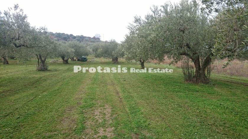 Αγροτεμάχια 3.472τ.μ. για πώληση-Ωρεοί