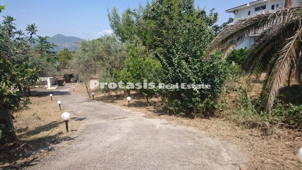 Μονοκατοικία 64 τ.μ. προς πώληση, Λουτρά Αιδηψού