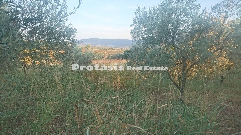 Οικόπεδο 501 τ.μ. προς πώληση, Ωρεοί