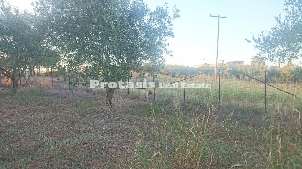Οικόπεδο 501 τ.μ. προς πώληση, Ωρεοί