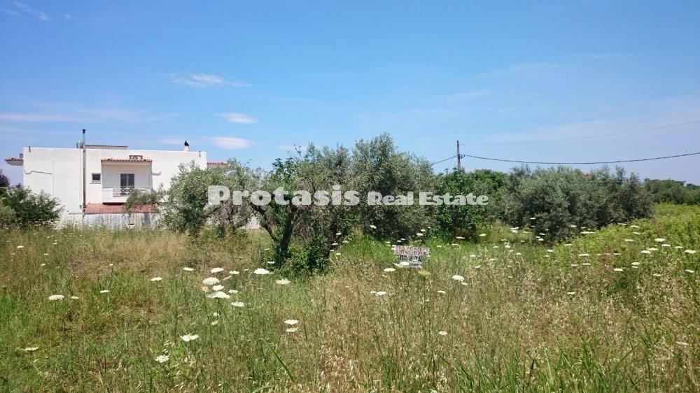 Οικόπεδο 565 τ.μ. προς πώληση, Ιστιαία