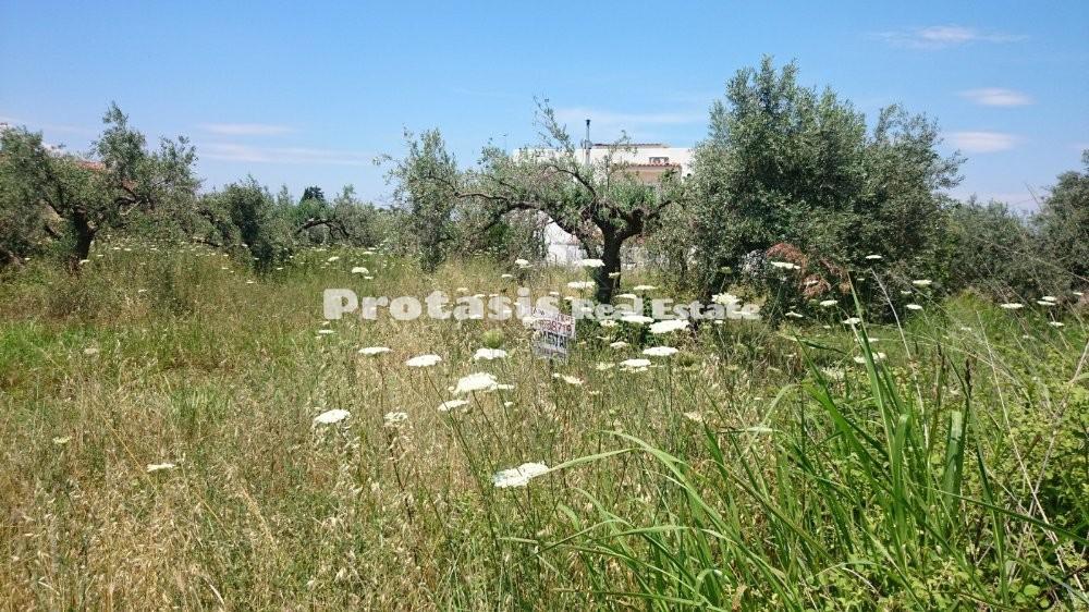 Οικόπεδο 565 τ.μ. προς πώληση, Ιστιαία