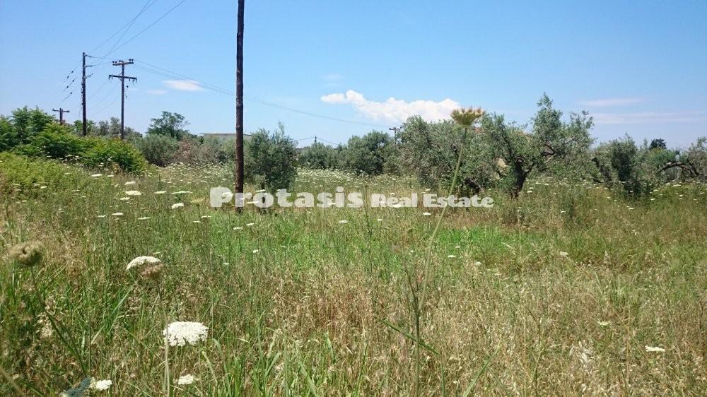 Οικόπεδο 565 τ.μ. προς πώληση, Ιστιαία