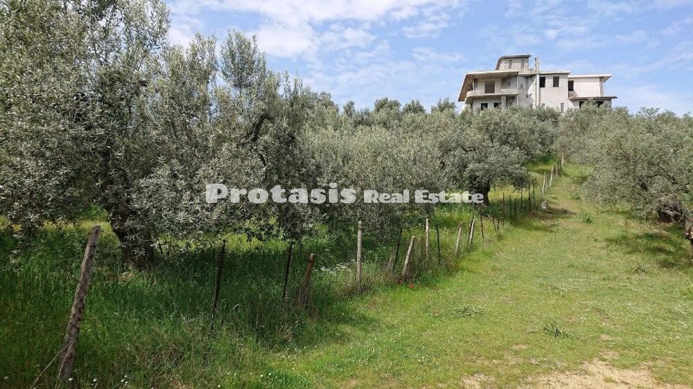 Αγροτεμάχια 2.800 τ.μ. προς πώληση, Λουτρά Αιδηψού