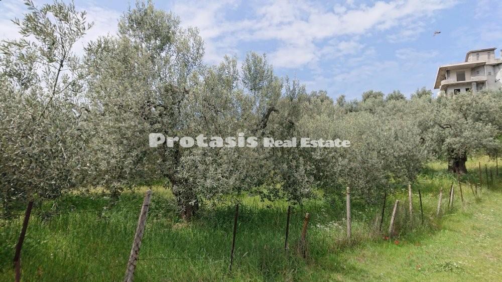 Αγροτεμάχια 2.800 τ.μ. προς πώληση, Λουτρά Αιδηψού
