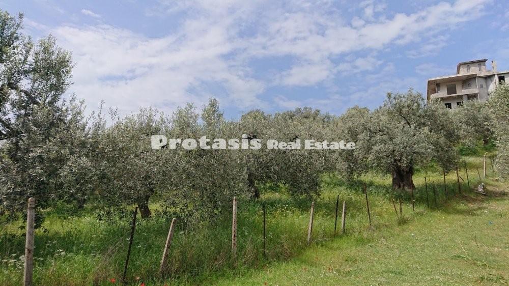Αγροτεμάχια 2.800 τ.μ. προς πώληση, Λουτρά Αιδηψού