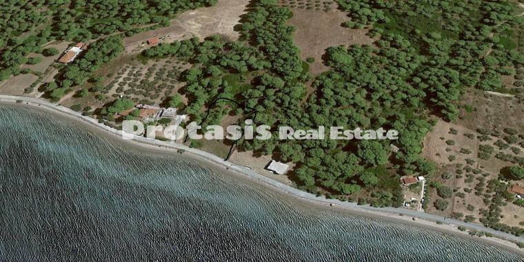 Αγροτεμάχια 971τ.μ. για πώληση-Λιχάδα » Κάβος