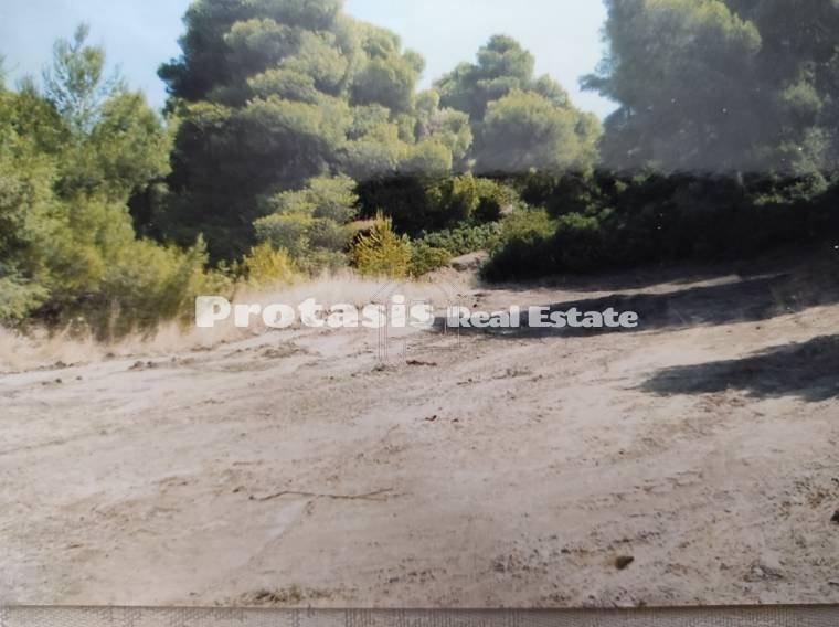 Αγροτεμάχια 971 τ.μ. προς πώληση, Κάβος Λιχάδας