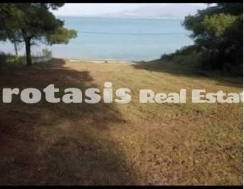 Αγροτεμάχια 971 τ.μ. προς πώληση, Κάβος Λιχάδας