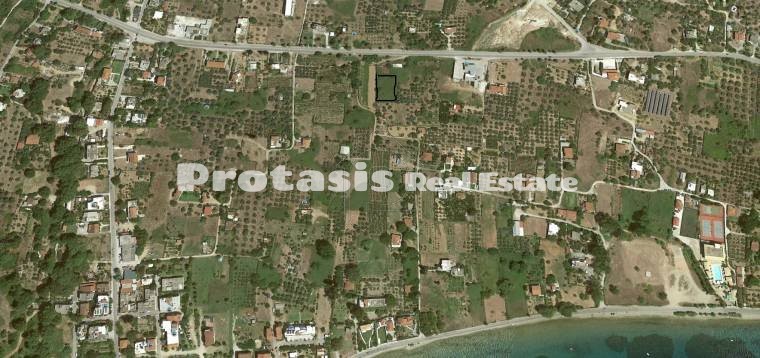 Αγροτεμάχια 1.151τ.μ. για πώληση-Αιδηψός » Λουτρά αιδηψού