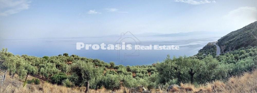 Αγροτεμάχια 20.000 τ.μ. προς πώληση, Ήλια Αιδηψού