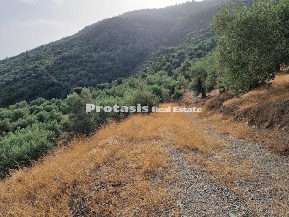 Αγροτεμάχια 20.000 τ.μ. προς πώληση, Ήλια Αιδηψού