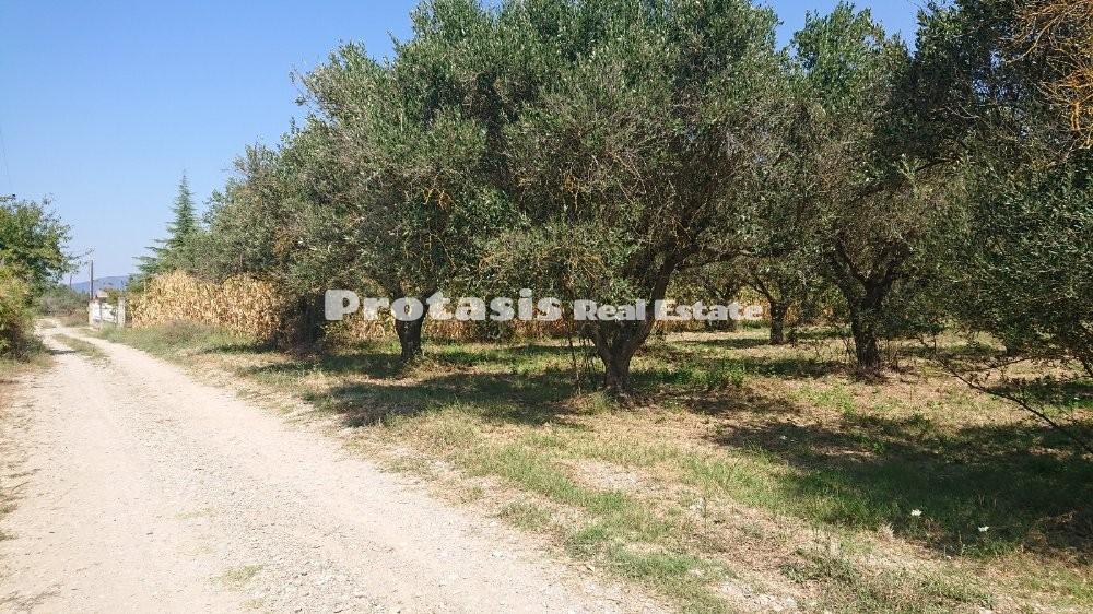 Οικόπεδο 2.470 τ.μ. προς πώληση, Νέος Πύργος Ωρεών