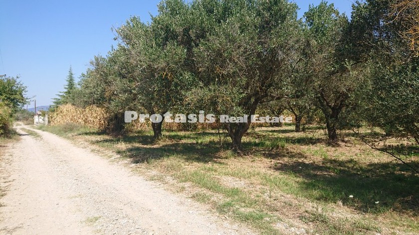 Land plot 2.470sqm for sale-Oreoi » Neos Pirgos