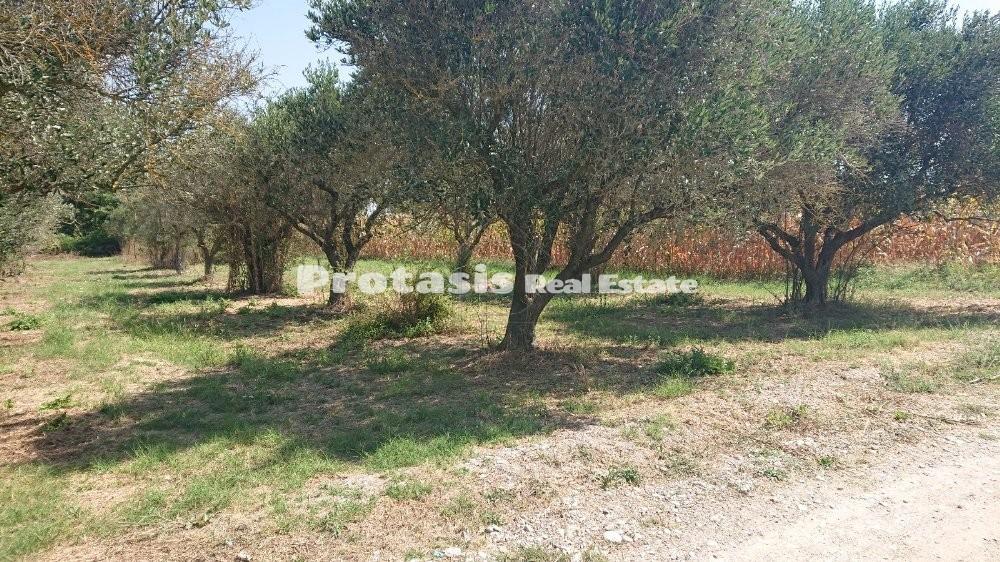 Οικόπεδο 2.470 τ.μ. προς πώληση, Νέος Πύργος Ωρεών