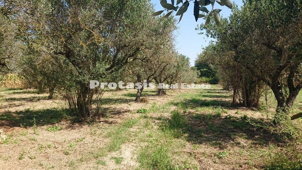 Οικόπεδο 2.470 τ.μ. προς πώληση, Νέος Πύργος Ωρεών