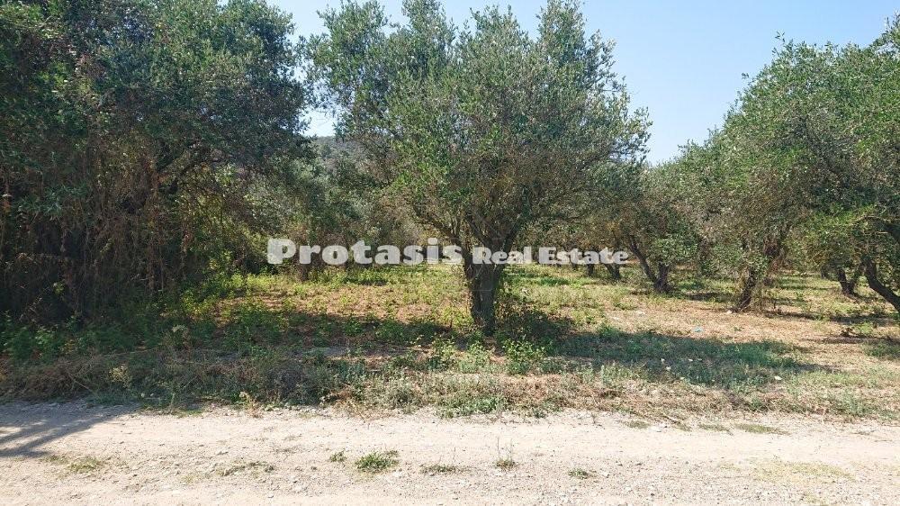 Οικόπεδο 2.470 τ.μ. προς πώληση, Νέος Πύργος Ωρεών