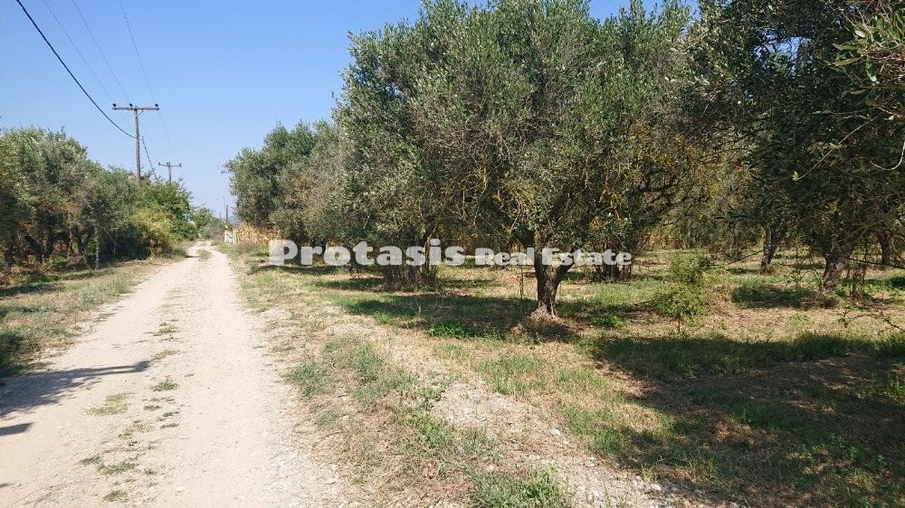 Οικόπεδο 2.550 τ.μ. προς πώληση, Νέος Πύργος Ωρεών