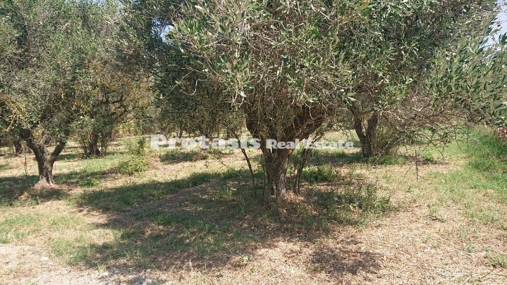 Οικόπεδο 2.550 τ.μ. προς πώληση, Νέος Πύργος Ωρεών