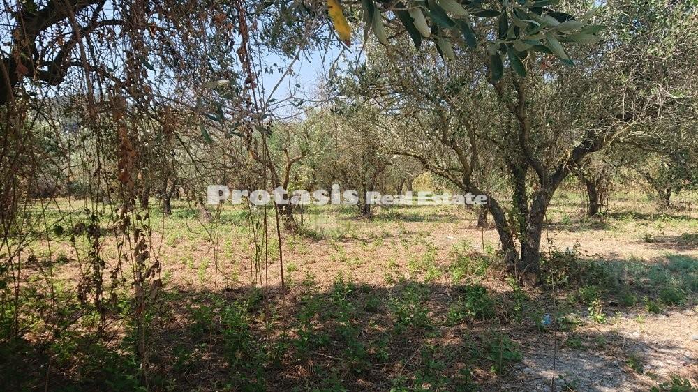 Οικόπεδο 2.550 τ.μ. προς πώληση, Νέος Πύργος Ωρεών
