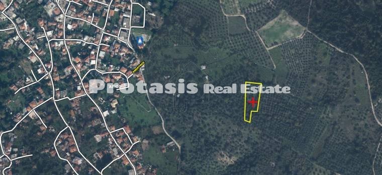 Parcel 2.280sqm for sale-Aidipsos » Agios