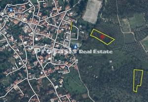 Αγροτεμάχια 2.480 τ.μ. για πώληση