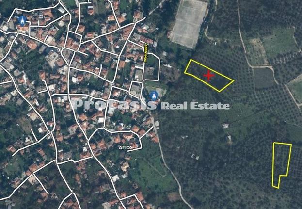 Αγροτεμάχια 2.480 τ.μ. για πώληση, Εύβοια, Αιδηψός
