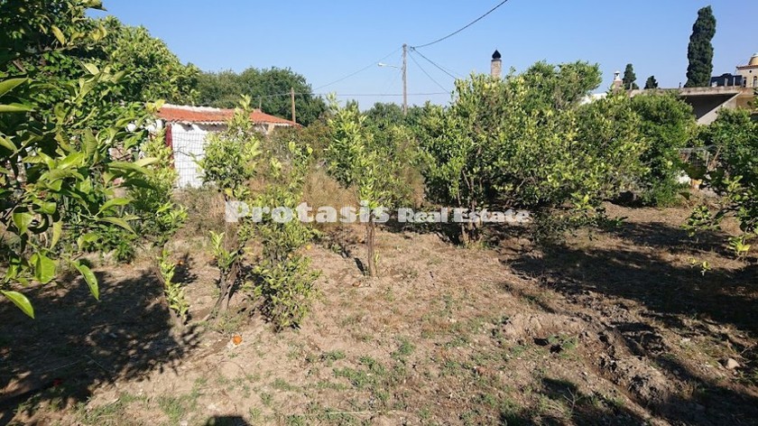 Οικόπεδο 600τ.μ. για πώληση-Αιδηψός » Ν. ηλείας