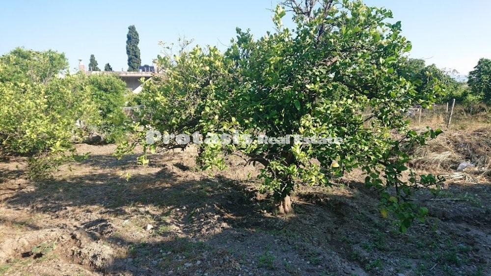 Οικόπεδο 600 τ.μ. προς πώληση, Ήλια Αιδηψού