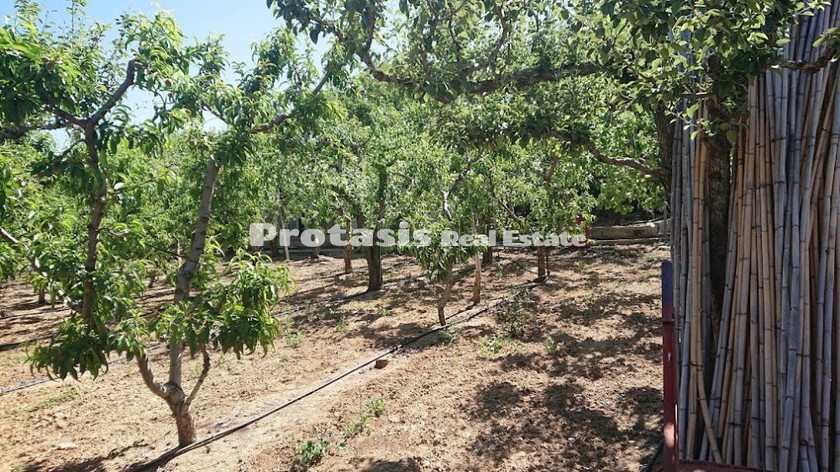 Αγροτεμάχια 3.056τ.μ. για πώληση-Αιδηψός