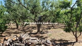 Αγροτεμάχια 3.056 τ.μ. για πώληση, Εύβοια, Αιδηψός-thumb-2