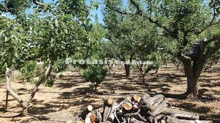 Αγροτεμάχια 3.056 τ.μ. για πώληση, Εύβοια, Αιδηψός-thumb-3