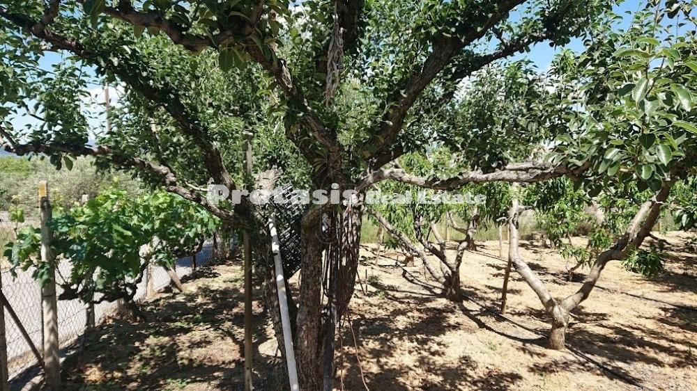 Αγροτεμάχια 3.056 τ.μ. προς πώληση, Αιδηψός