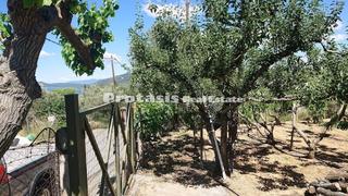 Αγροτεμάχια 3.056 τ.μ. για πώληση, Εύβοια, Αιδηψός-thumb-9