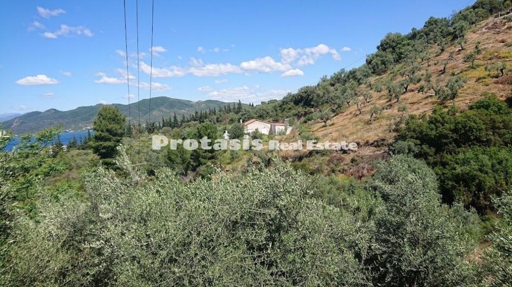 Αγροτεμάχια 4.208 τ.μ. προς πώληση, Λουτρά Αιδηψού