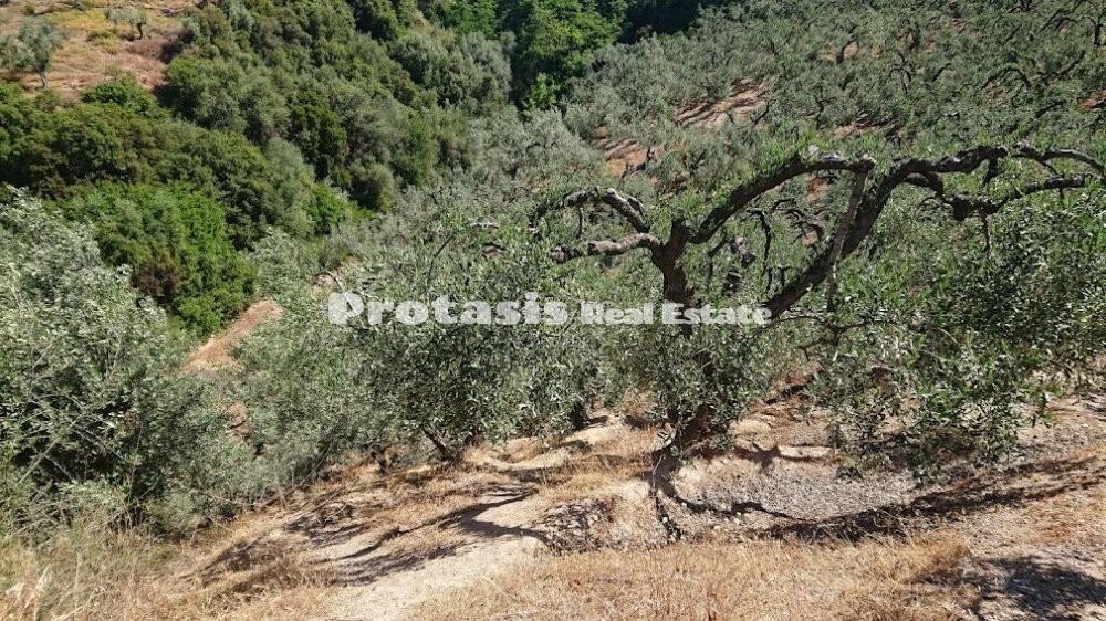 Αγροτεμάχια 4.208 τ.μ. προς πώληση, Λουτρά Αιδηψού