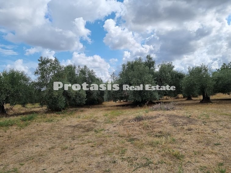 Land plot 2.500sqm for sale-Oreoi » Taxiarchis