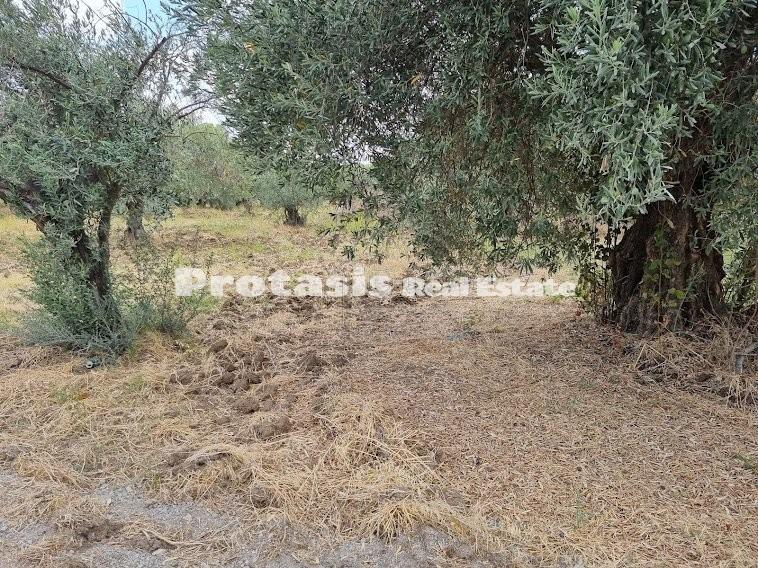 Οικόπεδο 2.500 τ.μ. προς πώληση, Ταξιάρχης Ωρεών