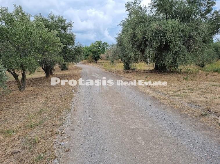 Οικόπεδο 2.500 τ.μ. προς πώληση, Ταξιάρχης Ωρεών