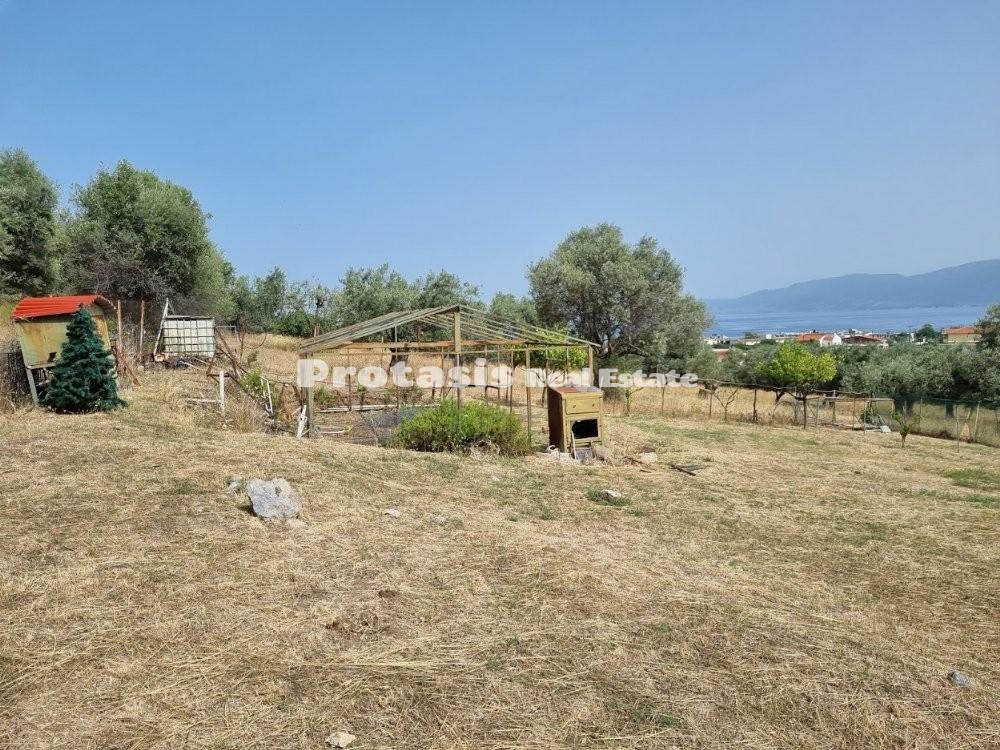 Οικόπεδο 772 τ.μ. προς πώληση, Άγιος Γεώργιος Λιχάδας