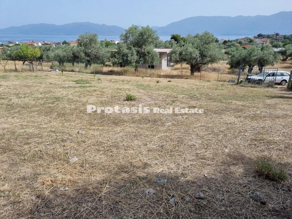 Οικόπεδο 772 τ.μ. προς πώληση, Άγιος Γεώργιος Λιχάδας