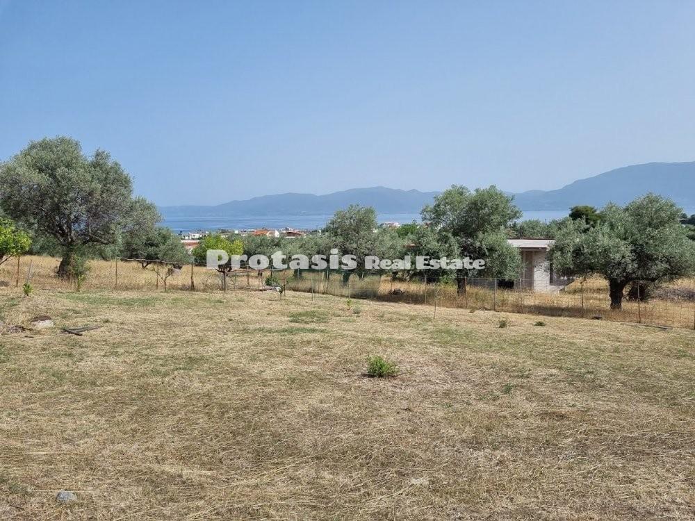 Οικόπεδο 772 τ.μ. προς πώληση, Άγιος Γεώργιος Λιχάδας