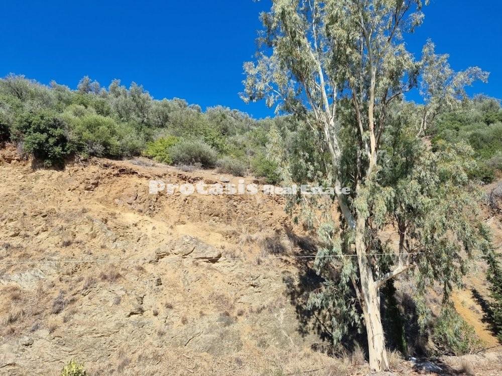 Αγροτεμάχια 6.860 τ.μ. προς πώληση, Λουτρά Αιδηψού