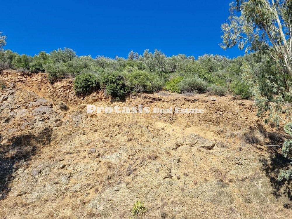 Αγροτεμάχια 6.860 τ.μ. προς πώληση, Λουτρά Αιδηψού
