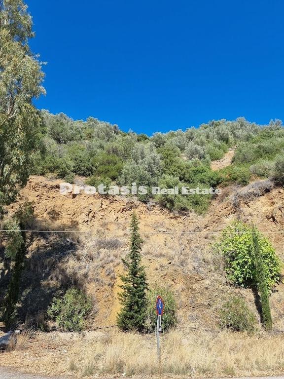 Αγροτεμάχια 6.860 τ.μ. προς πώληση, Λουτρά Αιδηψού