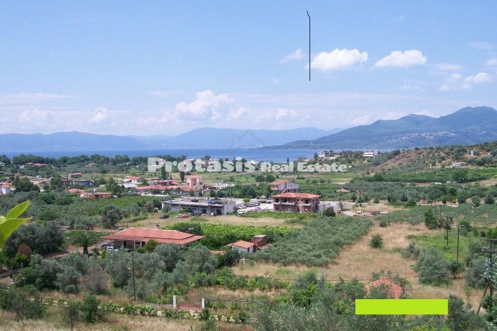 Αγροτεμάχια 14.188 τ.μ. προς πώληση, Λουτρά Αιδηψού